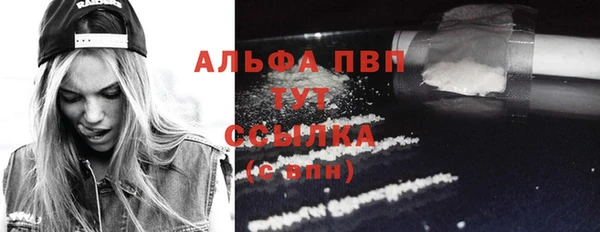 СК Новодвинск