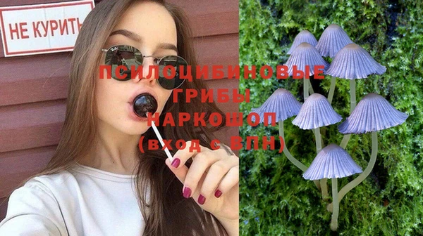 СК Новодвинск
