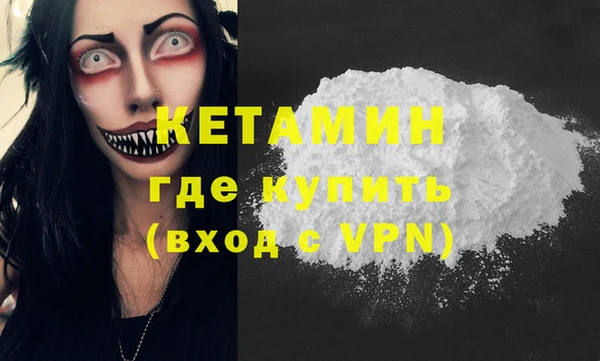 СК Новодвинск