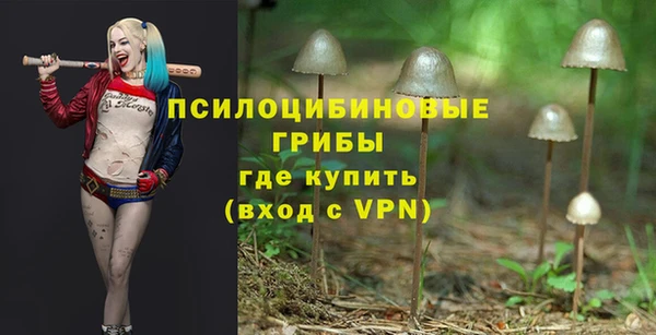 СК Новодвинск