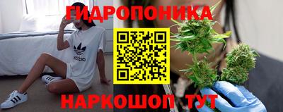 шишки Волгодонск