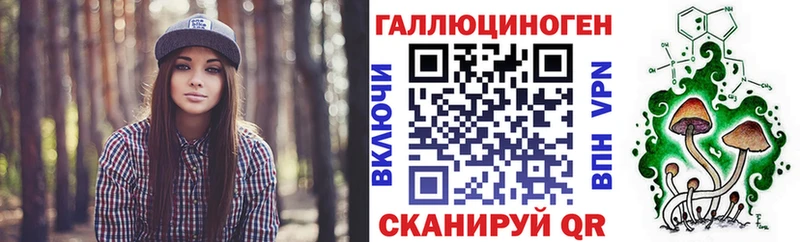 Галлюциногенные грибы Cubensis  закладки  Луга 